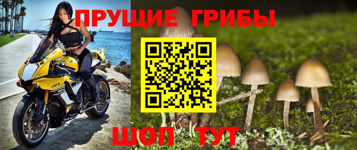 Псилоцибиновые грибы Magic Shrooms Калуга