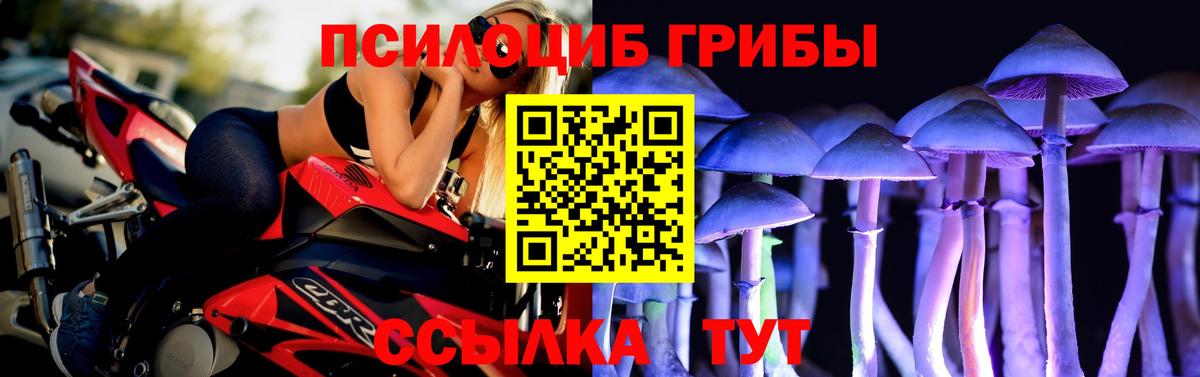 Галлюциногенные грибы Magic Shrooms  Вход с VPN  Калуга  Галлюциногенные грибы Psilocybe 